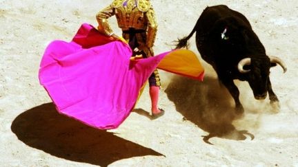 Introduite en France au milieu du XIX siècle, la corrida est pratiquée dans une quarantaine de villes françaises. (AFP - Dominique Faget)