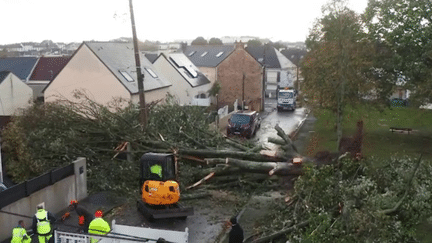 La tempête Ciaran a violemment touché le nord-ouest de la France, dans la nuit du mercredi 1er au jeudi 2 novembre. Jeudi matin, les autorités renouvellent leurs consignes en demandant aux habitants d'éviter les forêts et la côte.