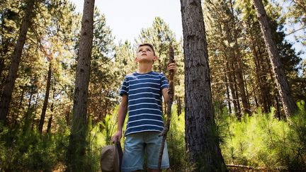 Un enfant observe ce qui l'entoure dans une forêt. Photo d'illustration. (ERIC AUDRAS / MAXPPP)