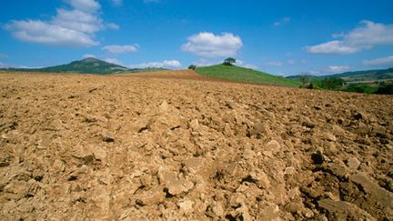 Un arrêté préfectoral limitant la consommation d'eau pris dans 32 départements sur 96. (Getty/Picavet)