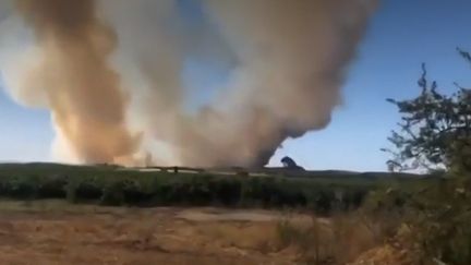 Incendies : un bombardier en intervention s'écrase, le pilote est décédé