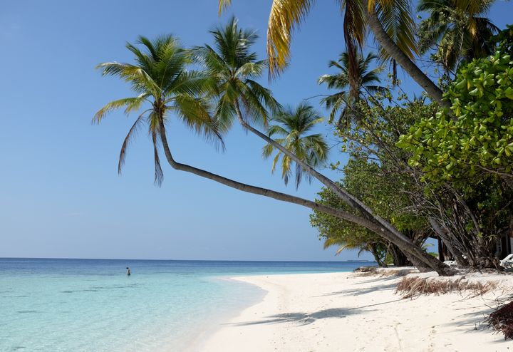 Une plage sur une &icirc;le touristique de l'archipel des Maldives, le 18 avril 2014. (BERND WEISSBROD / DPA / AFP)