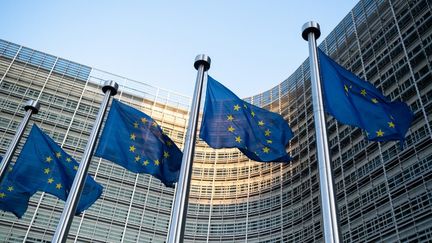 Des drapeaux européens à Bruxelles, le 28 février 2021. (MARTIN BERTRAND / HANS LUCAS / AFP)