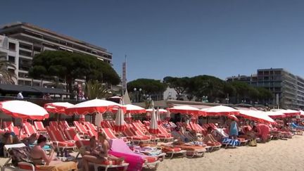 Plages : le business des chaises-longues