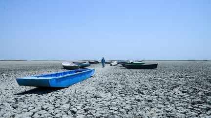 Un batelier indien sur la plage de Nalsarovar, le 4 juin 2019. En raison de la diminution des pluies de mousson, ce refuge à oiseaux s'est asséché. (SAM PANTHAKY / AFP)