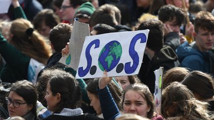 Irelande : des&nbsp;élèves et étudiants participent à la grève pour le climat à Dublin, le 15 mars 2019.&nbsp; (ARTUR WIDAK / NURPHOTO / AFP)