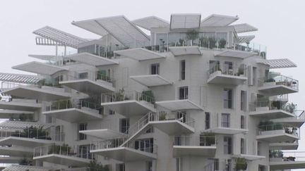 Tourisme : l'Arbre blanc et le parc de Corbières-Fenouillères… ce qu'il faut voir à Montpellier