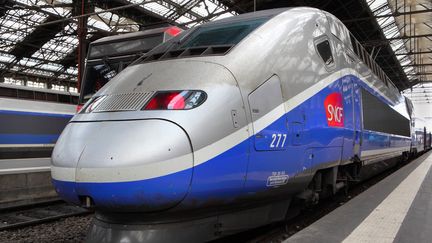 Pour la Cour des comptes, le TGV n'est pas suffisamment rentable. (MANUEL COHEN / AFP )