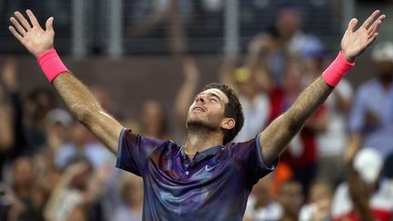 L'Argentin Juan Martin Del Potro (MATTHEW STOCKMAN / GETTY IMAGES NORTH AMERICA)