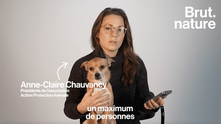 Si en France, la maltraitance animale peut être condamnée par la loi jusqu’à trois ans de prison, dans les faits, les auteurs des violences sont encore très peu condamnés. C’est ce que déplore Anne-Claire Chauvancy, présidente de l’association Action Protection Animale (APA). (Brut.)