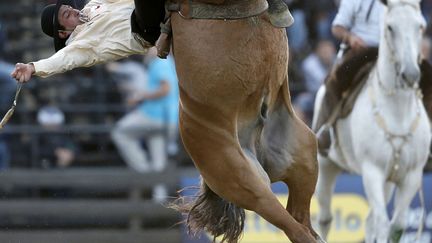 Un gaucho monte un cheval sauvage &agrave; Montevideo (Uruguay), le 15 avril 2014. (ANDRES STAPFF / REUTERS)