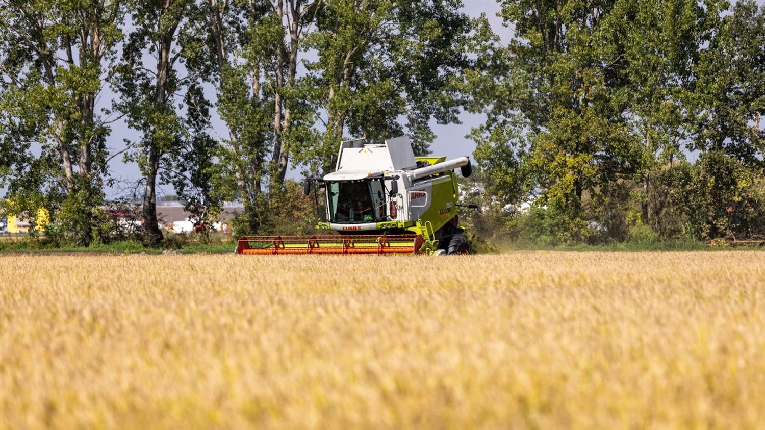 Un temporero indio en Italia murió tras sufrir un accidente laboral y ser abandonado por su empleador