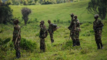 Des rebelles du M23 aux abords de Goma, &agrave; l'est de la R&eacute;publique d&eacute;mocratique du Congo, le 19 novembre 2012. (PHIL MOORE / AFP)