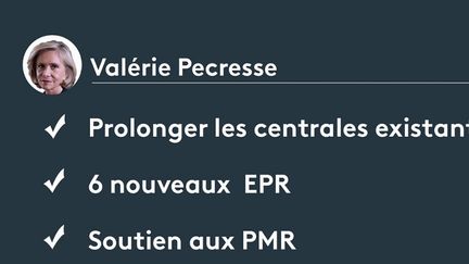 Présidentielle 2022 : quelles sont les propositions des candidats sur le nucléaire ? (FRANCEINFO)