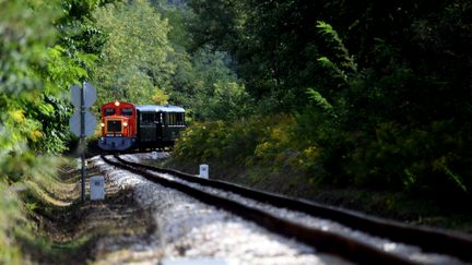 Le train touristique circule autour de Felcsut (Hongrie),le village d’enfance de Viktor Orban, Premier ministre.&nbsp; (ATTILA KISBENEDEK / AFP)