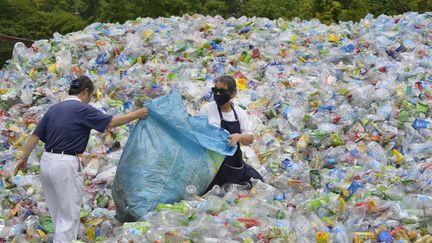 La salive d'une larve pourrait être utilisée dans les déchetterie pour éliminer les emballages plastiques. (Photo d'illustration).&nbsp; (CHRIS STOWERS / AFP)