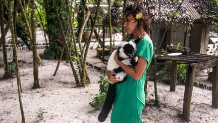 Un jeune lémurien a trouvé refuge dans les bras d'Angelique Decampe, cogérante de l'hôtel Jungle Nofy. (RIJASOLO / AFP)