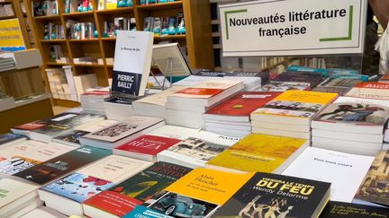 Dans une librairie à Toulouse, le 24 juillet 2021. (SANDRINE MARTY / HANS LUCAS / AFP)