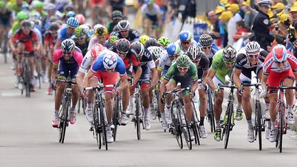 Les sprinteurs à l'affût (DE WAELE TIM / TDWSPORT SARL)