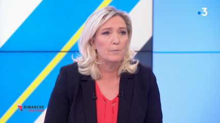 Marine Le Pen "Dimanche en politique"&nbsp;19 janvier 2020 (CAPTURE D'ECRAN "DIMANCHE EN POLITIQUE" / FRANCE 3)