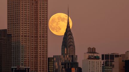 Toujours à New York (Etats-Unis), la Lune du Castor se faufile entre le Chrysler Building et l'Empire State Building, deux symboles architecturaux de la ville, le 15 novembre 2024. (GARY HERSHORN / CORBIS NEWS / GETTY IMAGES)