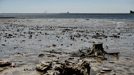 Les rives du réservoir de Kakhovka au niveau de la ville de Nikopol (Ukraine), le 9 juin 2023. (DMYTRO SMOLIENKO / NURPHOTO VIA AFP)