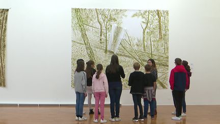 Exposition "De la nature" au musée de Grenoble (France 3 Alpes)