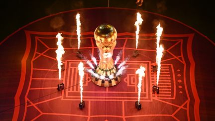 La Coupe du monde 2022 a donné son coup d'envoi le 20 novembre 2022, à l'occasion du match entre le Qatar et l'Equateur. (KIRILL KUDRYAVTSEV / AFP)