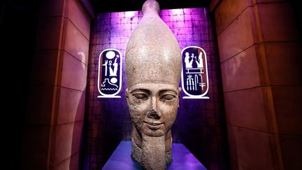 Tête colossale en granit rose, présentée à l'exposition "Ramsès et l'or des pharaons", le 6 avril 2023. (ANNE-CHRISTINE POUJOULAT / AFP)