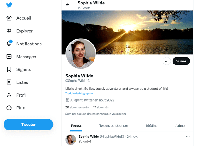 Capture d'écran du faux profil Twitter de Sophia Wilde, toujours actif début 2023. (DR)