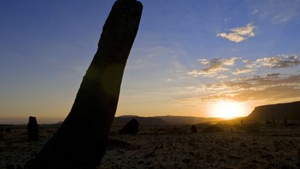 Sur le site de la cité antique d'Axoum, dans le nord de l'Ethiopie (31 août 2009) (AFP - GUIZIOU FRANCK / HEMIS.FR)