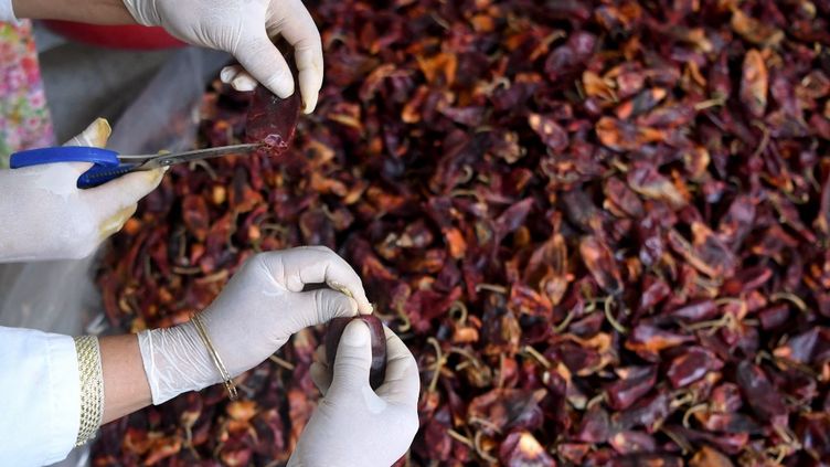 La harissa, condiment national en Tunisie, inscrite au patrimoine immatériel de l'humanité de l'Unesco