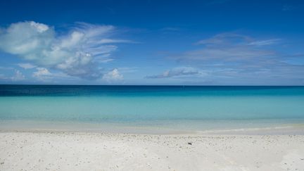 Vue&nbsp;générale de&nbsp;Turtle Beach. (SAUL LOEB / AFP)