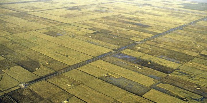 Terres irriguées à Tombouctou sur le fleuve Niger, au Mali. (Photo AFP)