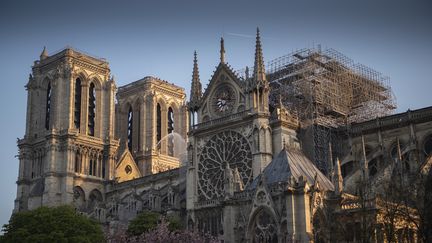 La charpente de la cathédrale Notre-Dame de Paris a été ravagée par le feu, le 15 avril 2019. (ERIC FEFERBERG / AFP)