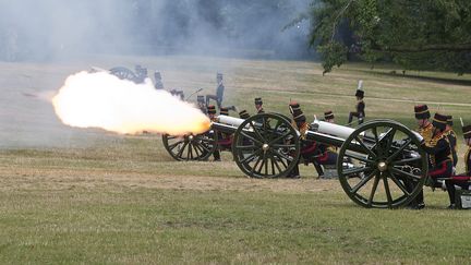 Comme le veut la tradition, la naissance du fils de Kate et William, troisi&egrave;me dans l'ordre de succession au tr&ocirc;ne britannique, a &eacute;t&eacute; salu&eacute;e par une canonnade, &agrave; Londres (Grande-Bretagne), le 23 juillet 2013. (WILL OLIVER / AFP)