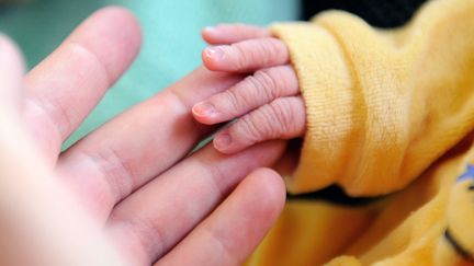 Sue Radford, 42 ans, a donné naissance à son vingtième enfant cette semaine.&nbsp; (PHILIPPE HUGUEN / AFP)