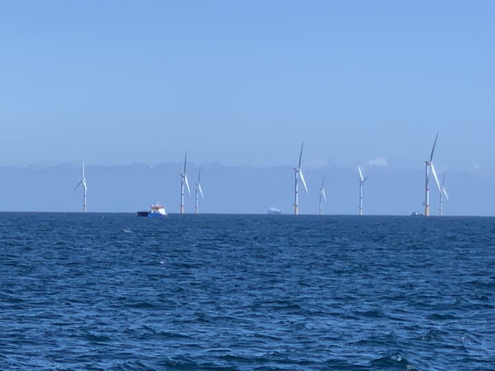 Quelques unes des vingt-sept éoliennes déjà installées dans le parc au large de Saint-Nazaire.&nbsp; (GREGOIRE LECALOT / RADIO FRANCE)