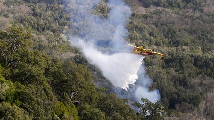 &nbsp;Un Canadair intervient sur un incendie dans le village de Chiatra, en Corse, le 4 janvier 2018. (PASCAL POCHARD-CASABIANCA / AFP)