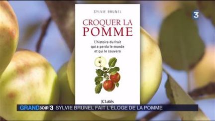 La couverture du livre de Sylvie Brunel (FRANCE 3)