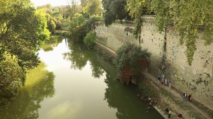 Lot-et-Garonne : à la découverte des nénuphars qui ont inspiré Claude Monnet