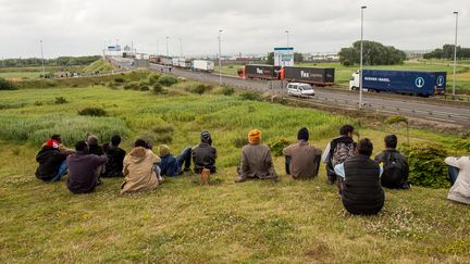 Migrants à Calais : un projet de mur qui divise