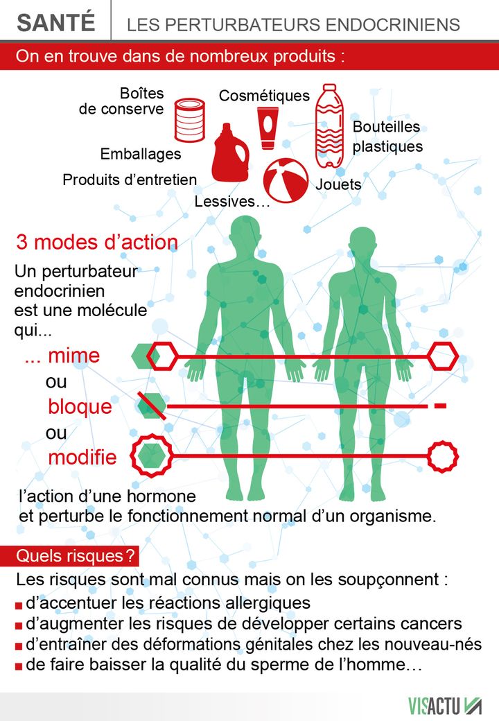 &nbsp; (Les perturbateurs endocriniens au coeur d'une campagne de prévention © Visactu)