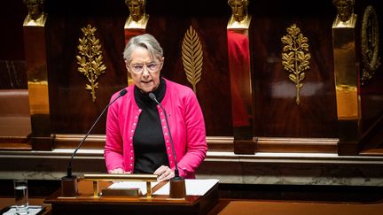 Elisabeth Borne à l'Assemblée nationale, à Paris, le 30 octobre 2023. (XOSE BOUZAS / HANS LUCAS / AFP)