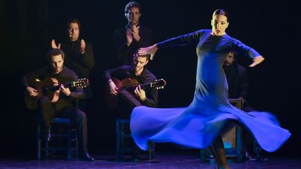 Membres du ballet andalou Project Cantera sous la direction de Rafael Estevez le 30 novembre 2018 à San Roque, en Andalusie, Espagne. (ARTUR WIDAK / NURPHOTO)