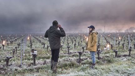 Des viticulteurs tentent de protéger leurs vignes du gel en allumant des feux en Loire Atlantique, le 12 avril 2021. (SEBASTIEN SALOM-GOMIS / AFP)