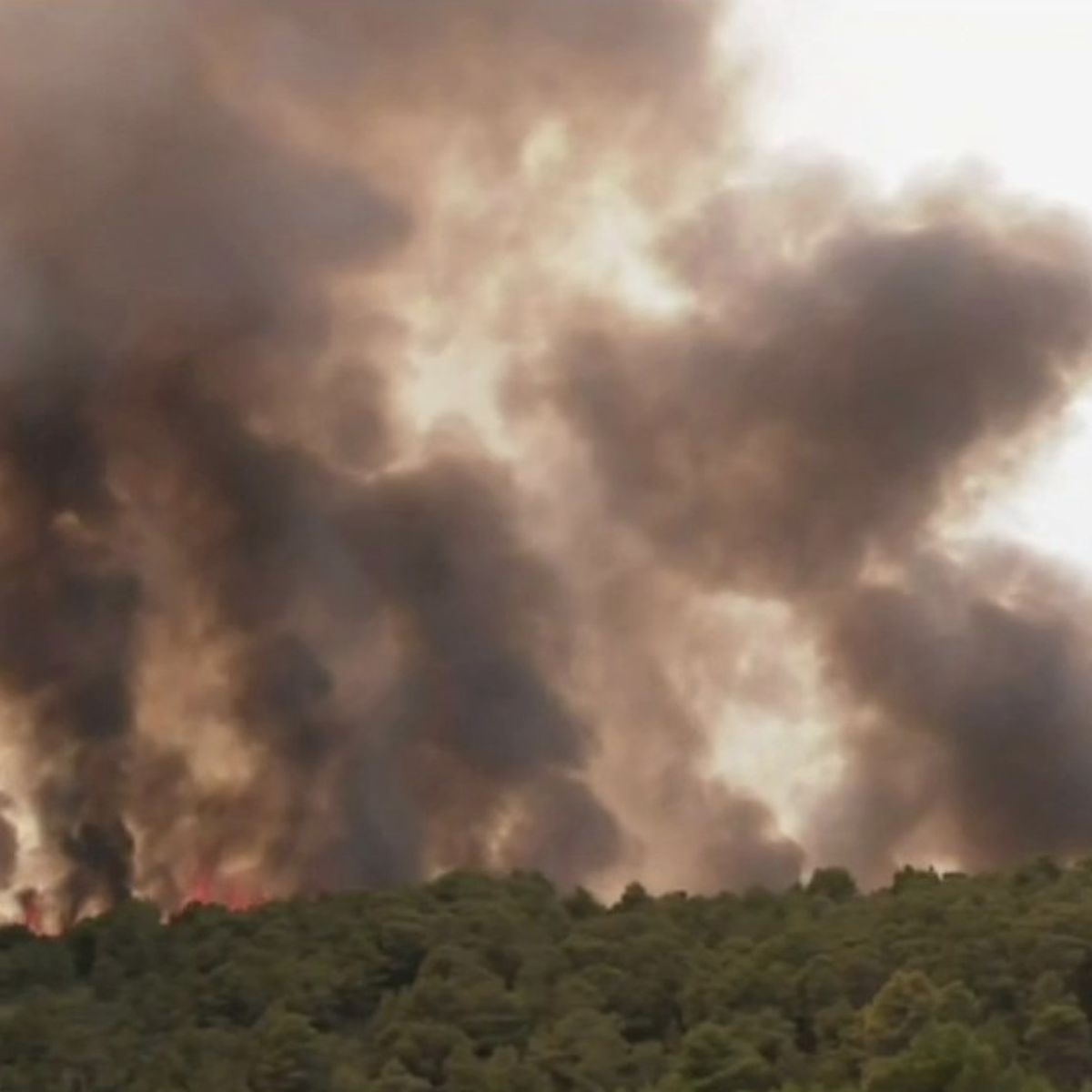 Aude 250 Hectares De Vegetation Detruits Par Un Incendie