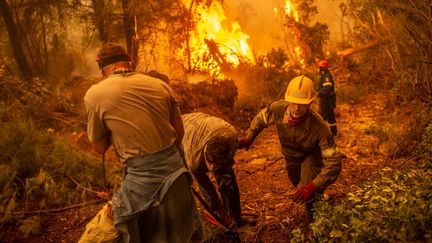 Incendies en Grèce : les flammes laissent place à un paysage apocalyptique