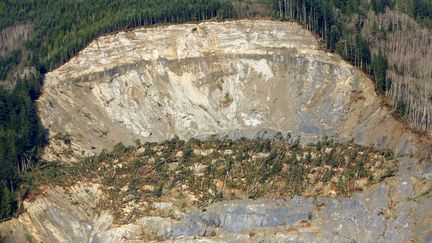 Vue a&eacute;rienne du glissement de terrain ayant fait 18 morts dans l'&eacute;tat de Washington (Etats-Unis), le 31 mars 2014. (RICK WILKING / REUTERS)