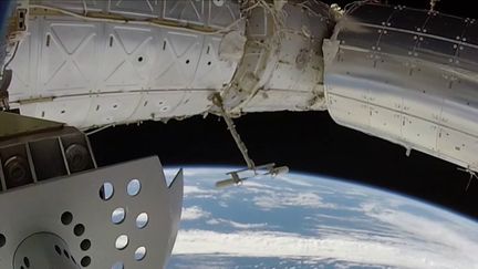 Dans la nuit du 8 au 9 novembre, Thomas Pesquet et son équipe devraient retrouver la Terre après une mission de six mois dans l'espace. Le JT du 12/13 s'est posé la question de savoir comment se passe la réadaptation des astronautes à leur arrivée. (FRANCE 3)